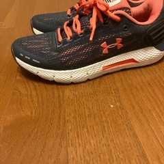アンダーアーマー23,5運動靴の画像