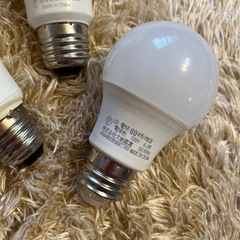 今日までの画像