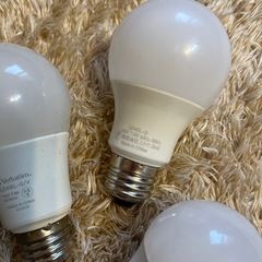 今日までの画像