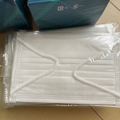 ✳︎未使用品✳︎不織布マスクの画像