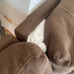 ソファー 2人掛けの画像