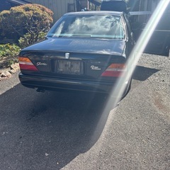 y32グロリアの画像