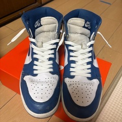 エアジョーダン1 トゥルーブルー　28.5センチの画像