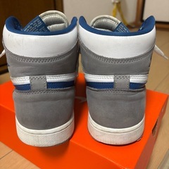 エアジョーダン1 トゥルーブルー　28.5センチの画像