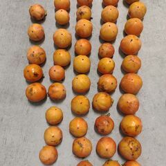 甘柿　45個の画像