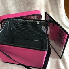 【新品未使用品】Disney 雑貨 アナとエルサ 保冷スツール の画像