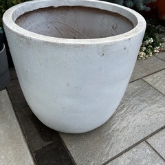 大型　鉢　植木鉢　の画像