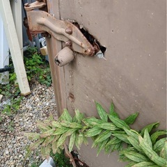 コンテナの画像