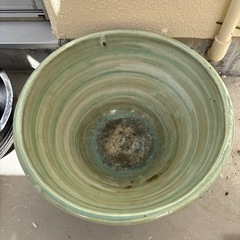 めだか鉢の画像