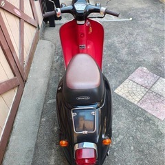 ☆HONDA☆ ジョルノ 50cc スクーターの画像