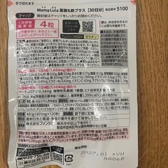 鉄•葉酸サプリの画像