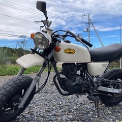 エイプ50 キャブ車　キットバイク　実働 の画像