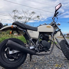 エイプ50 キャブ車　キットバイク　実働 の画像