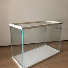 決まりました　GEX水槽の画像