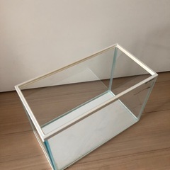 決まりました　GEX水槽の画像