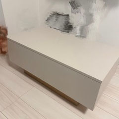 引き出し付き センターテーブル グレージュの画像