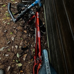 自転車　マウンテンバイクの画像