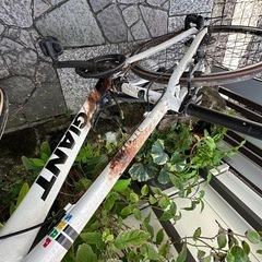 ジャイアント　白と黒　計2台の画像