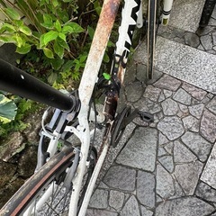 ジャイアント　白と黒　計2台の画像