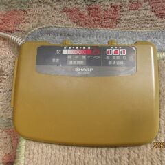 柄物ホットカーペット②の画像