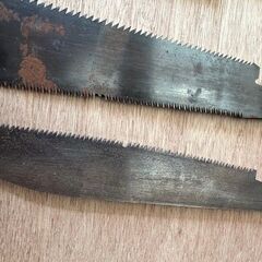 プロ仕様の鋸　の画像
