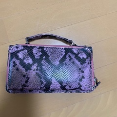 ヘビ柄　ポーチ　セカンドバッグの画像
