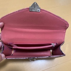 ヘビ柄　ポーチ　セカンドバッグの画像