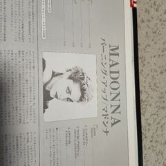 マドンナLPレコードの画像