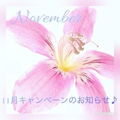 11月初回限定エアエク増毛キャンペーンのお知らせ🌸