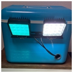 自作　集魚灯の画像