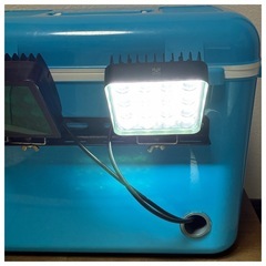 自作　集魚灯の画像