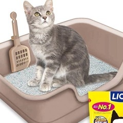 LION　猫用トイレの画像