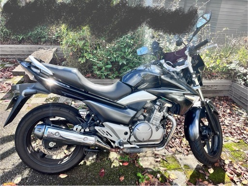 決まりました。【スズキ GSR250】ローダウン仕様／純正シートあり／自賠責あり