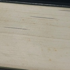 どなたかの画像