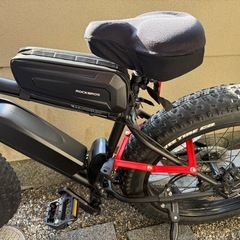 BRONX TRXEVO 電動アシストMTB（
低走行車）の画像