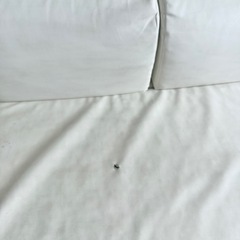 ローソファ レザー オフホワイト 3点セット 使用感ありの画像