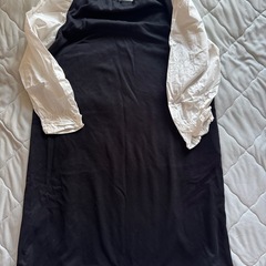 dev!rockワンピースの画像