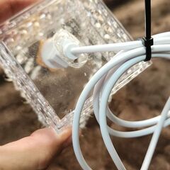 シャンデリアミニ②の画像