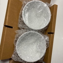 スヌーピー　磁器のボウル皿2個セットの画像