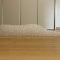 【美品・純正カバー付】BRAIN SLEEP ブレインスリープ NEWWAVEの画像