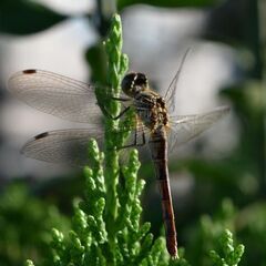 写真部＠山口　山口県や近県で活動する写真仲間募集！ − 山口県