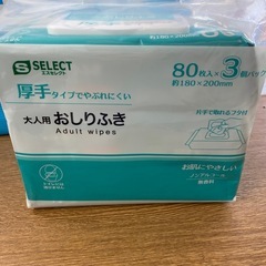 R100  大人の快適下着・オムツ・おしりふき４点セットの画像