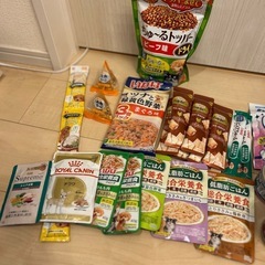 ドッグフードの画像