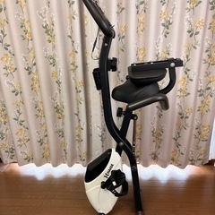 HAIGEエアロバイクの画像