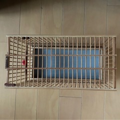 鳥かご　とりかご　小鳥　インコ　文鳥の画像