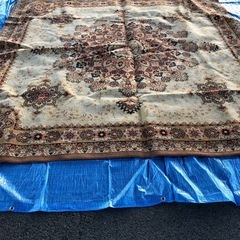 ペルシャ風じゅうたんの画像