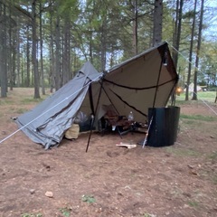 フューチャーフォックスのテント
の画像