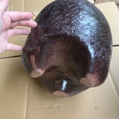 未使用　花器の画像