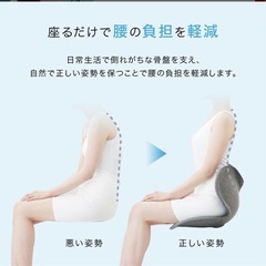 MTG Style 姿勢矯正 ボディメイクシート 骨盤サポートチェアの画像