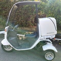 デカく見えます。ジャイロキャノピーワイドカスタム。ミニカー登録。の画像